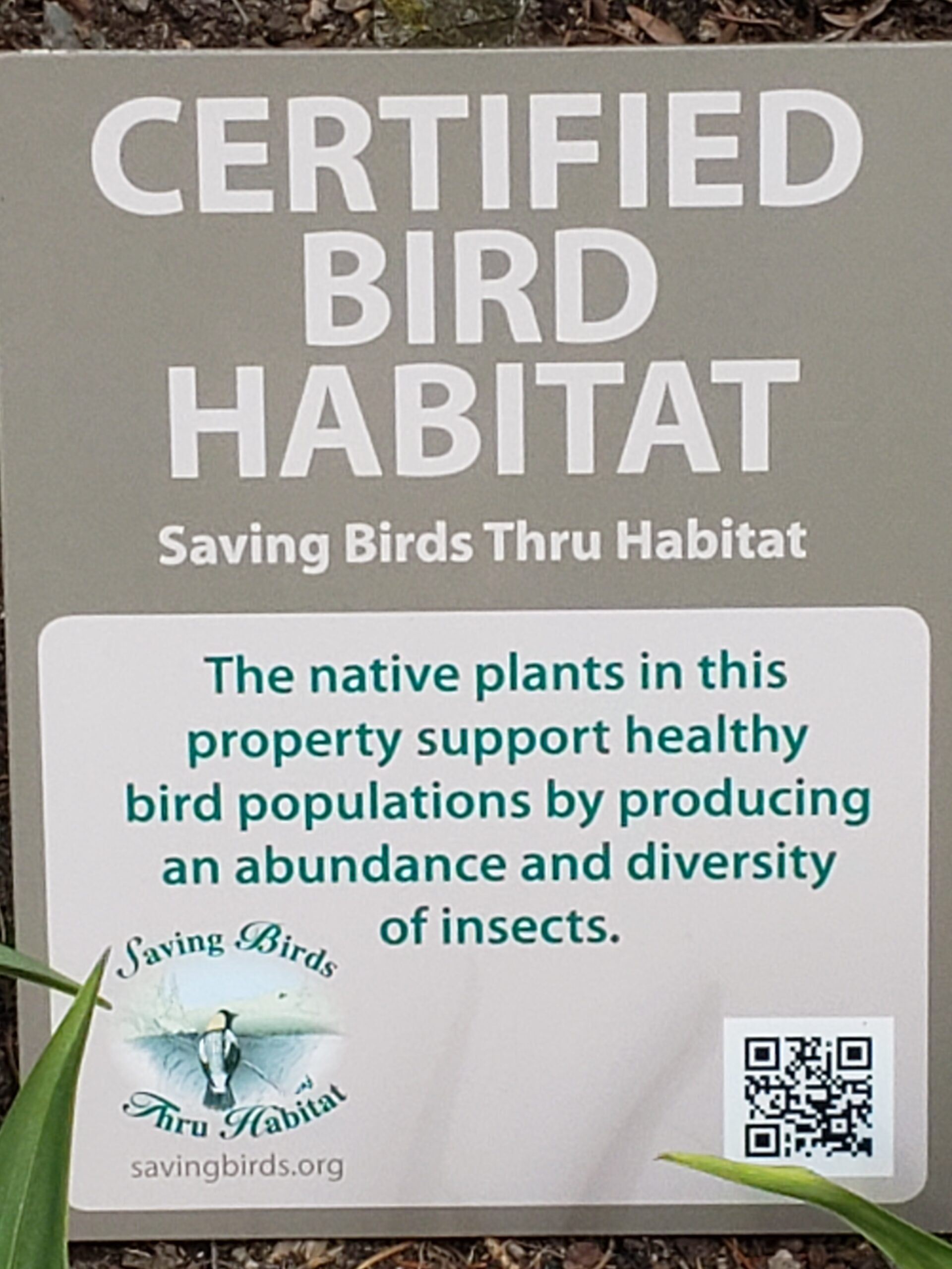 bird habitat
